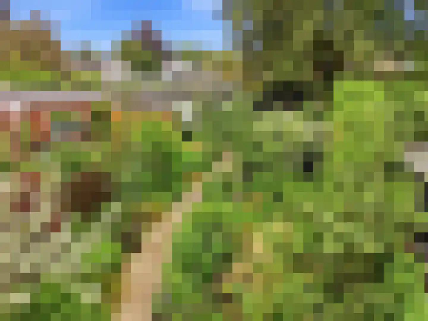 De Wolzaklaan 18 Eefde thumbnail 59