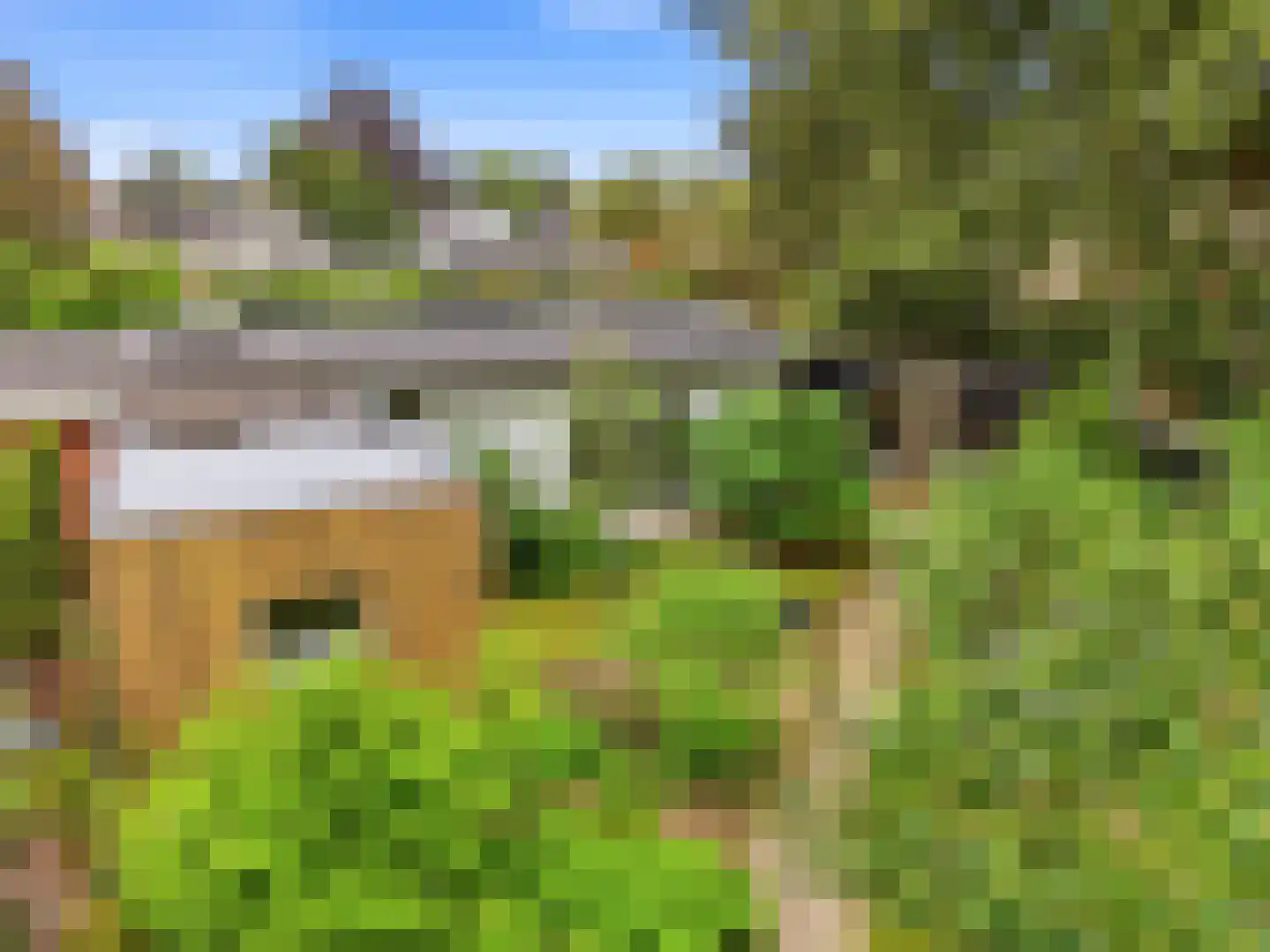 De Wolzaklaan 18 Eefde thumbnail 60