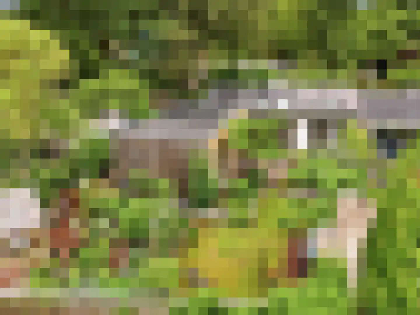 De Wolzaklaan 18 Eefde thumbnail 61