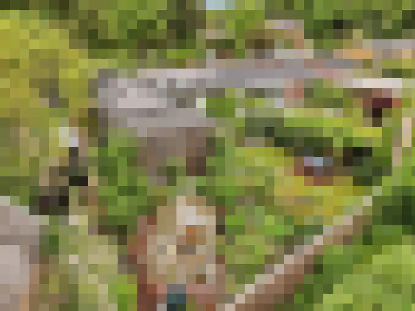 De Wolzaklaan 18 Eefde thumbnail 62