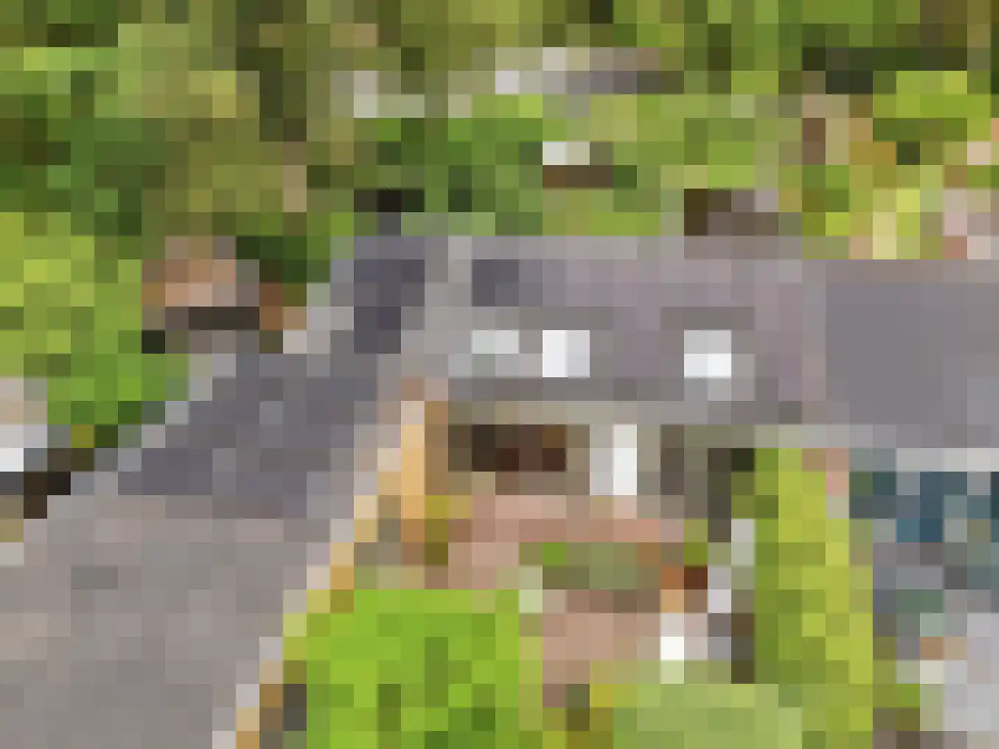 De Wolzaklaan 18 Eefde thumbnail 63