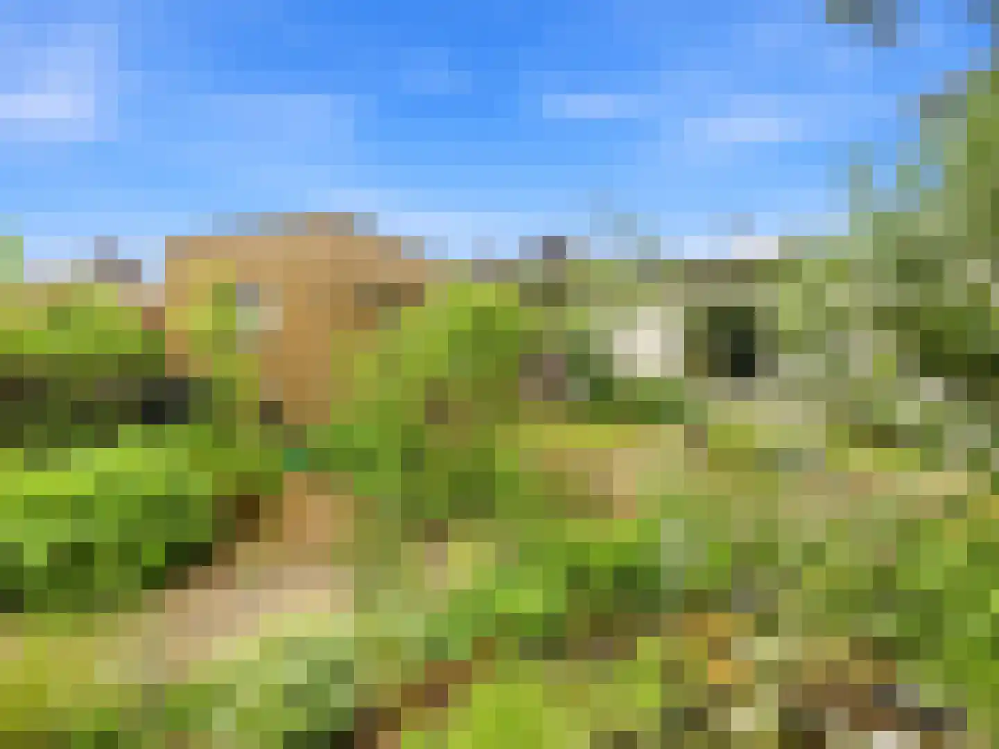 De Wolzaklaan 18 Eefde thumbnail 64