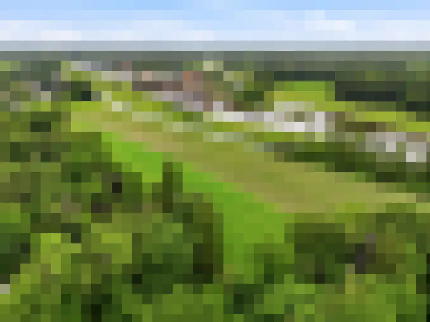 De Wolzaklaan 18 Eefde thumbnail 65