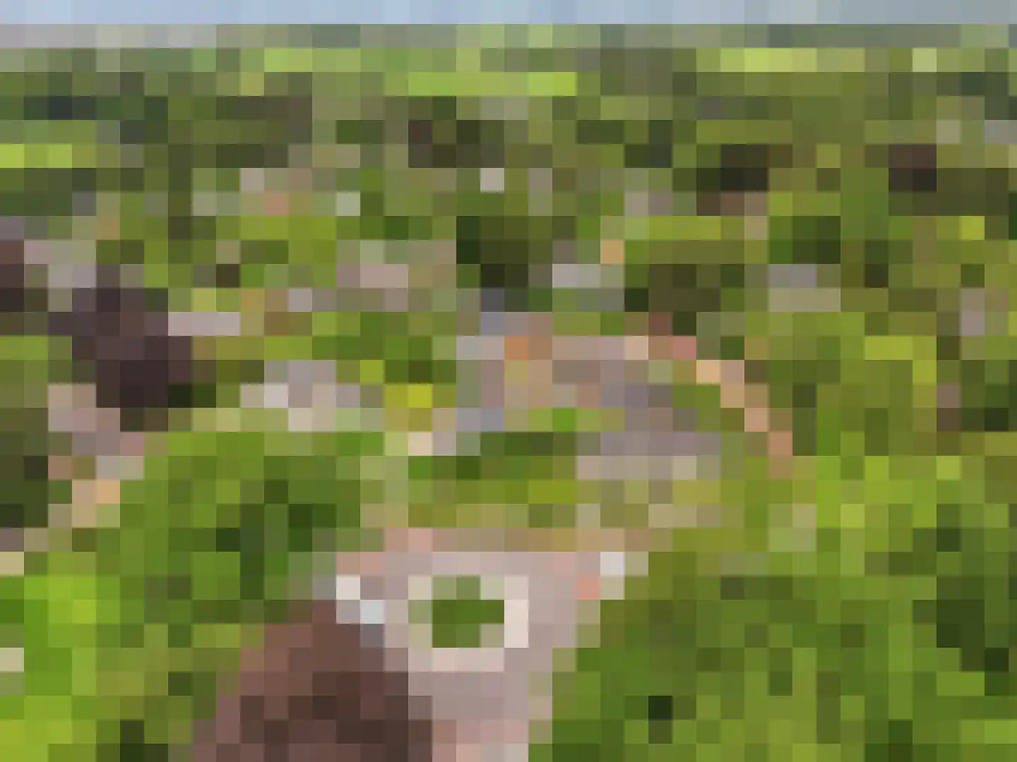 De Wolzaklaan 18 Eefde thumbnail 66