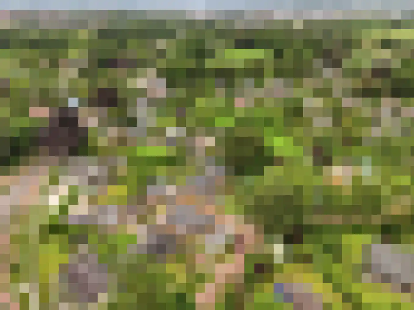 De Wolzaklaan 18 Eefde thumbnail 67