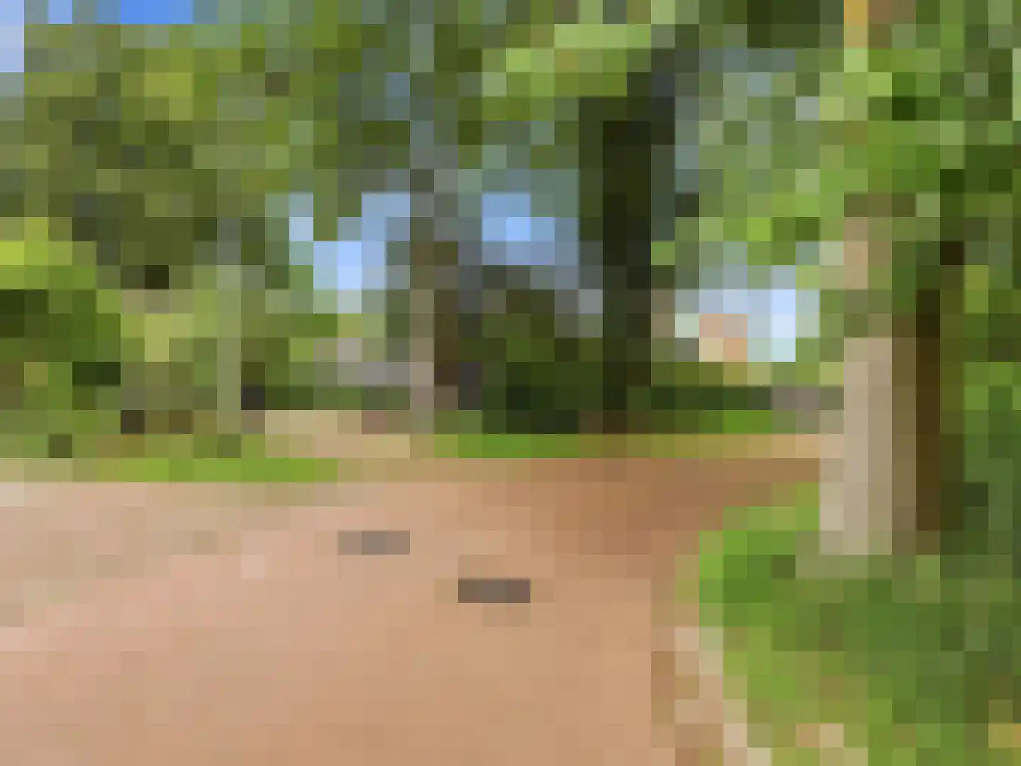 De Wolzaklaan 18 Eefde thumbnail 68