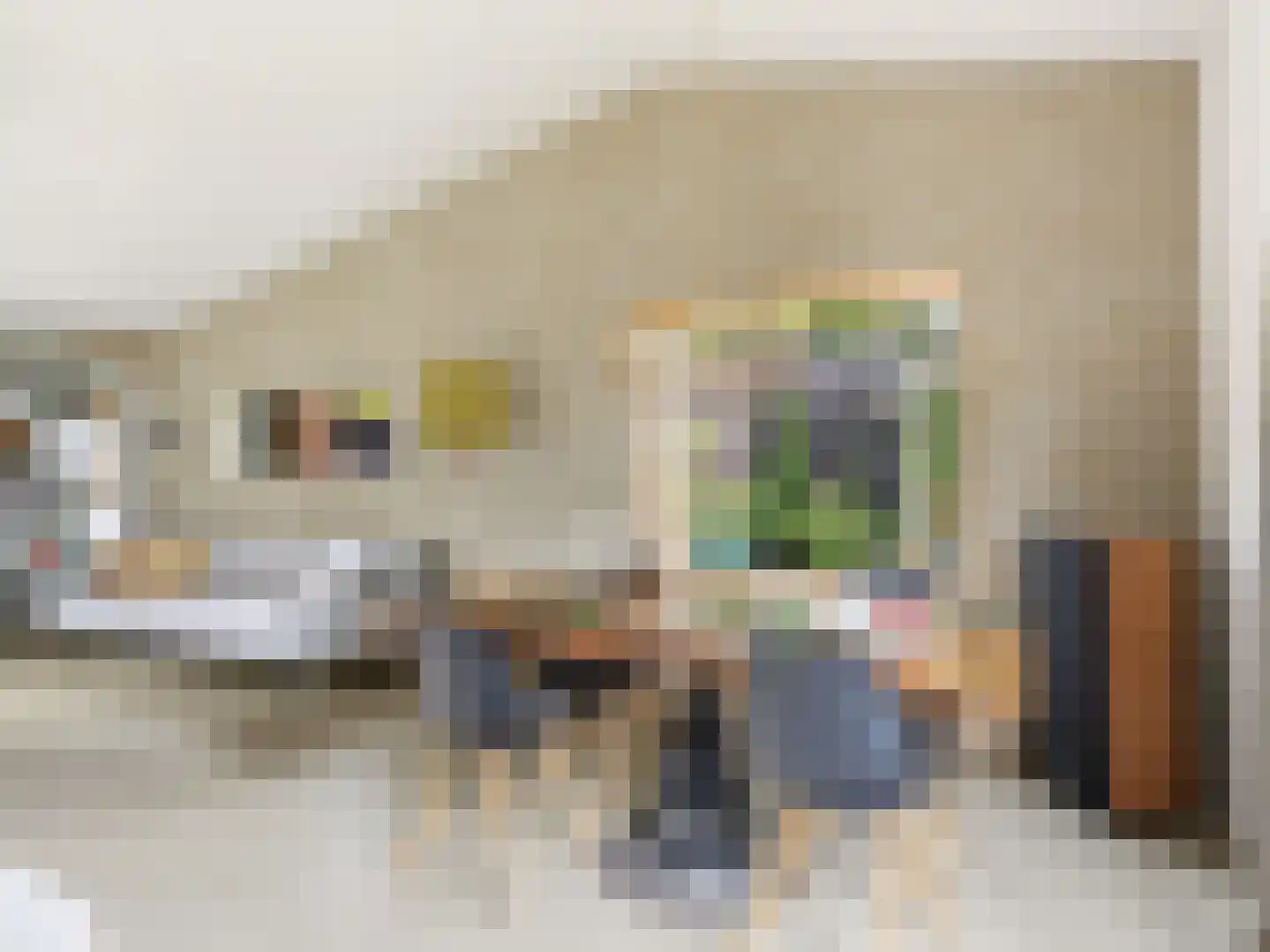 De Wolzaklaan 18 Eefde thumbnail 8
