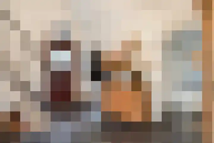 De Wolzaklaan 2 a Eefde thumbnail 10