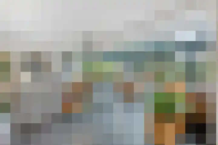 De Wolzaklaan 2 a Eefde thumbnail 19