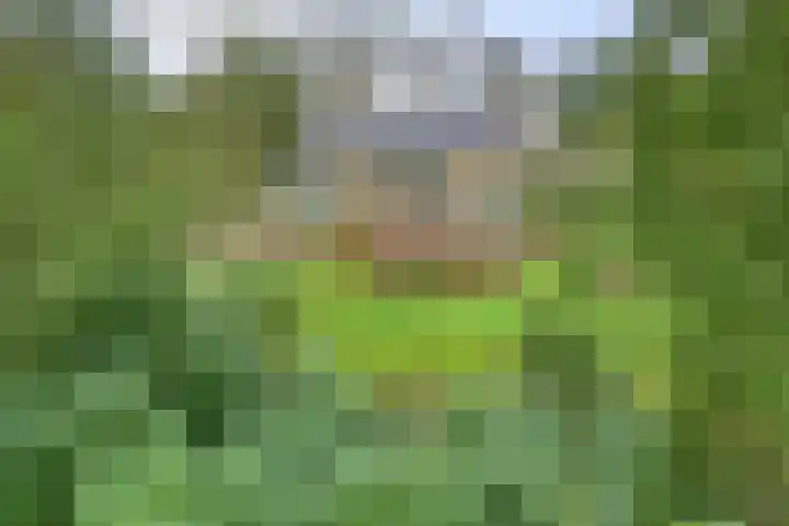 De Wolzaklaan 2 a Eefde foto 2