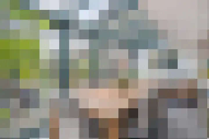 De Wolzaklaan 2 a Eefde thumbnail 24