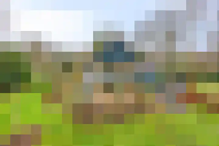 De Wolzaklaan 2 a Eefde foto 3