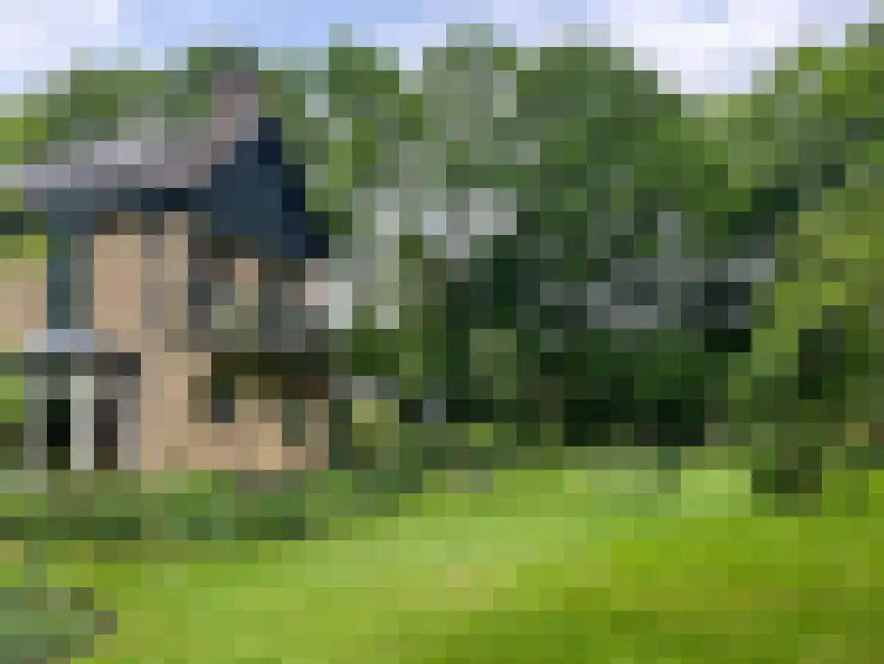 De Wolzaklaan 2 a Eefde foto 3