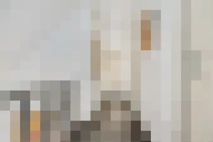 De Wolzaklaan 2 a Eefde thumbnail 36