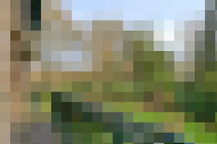 De Wolzaklaan 2 a Eefde thumbnail 38