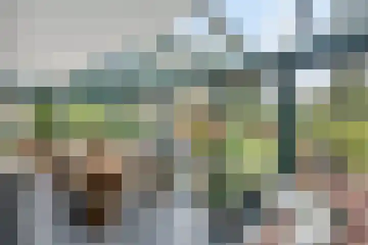 De Wolzaklaan 2 a Eefde thumbnail 4