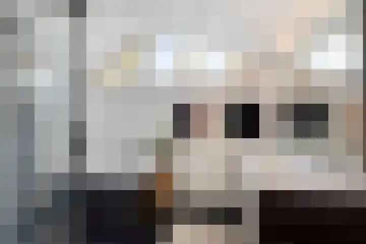 De Wolzaklaan 2 a Eefde thumbnail 41