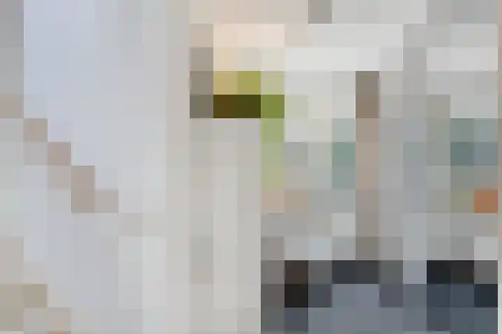 De Wolzaklaan 2 a Eefde thumbnail 48