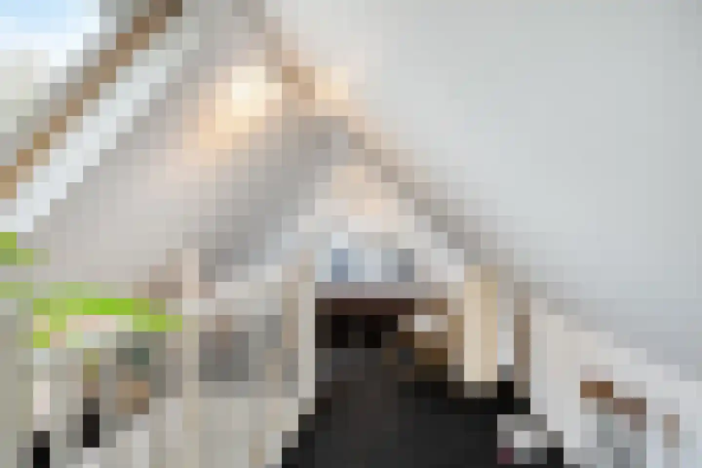 De Wolzaklaan 2 a Eefde thumbnail 52