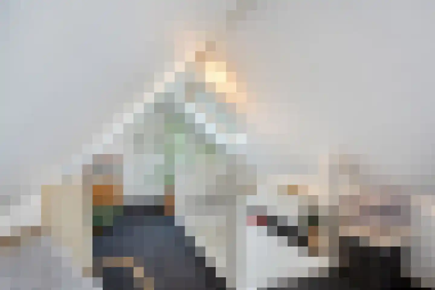 De Wolzaklaan 2 a Eefde thumbnail 54