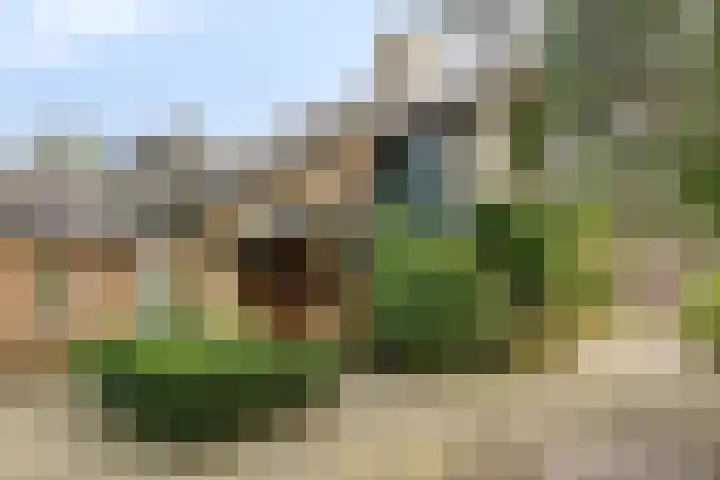 De Wolzaklaan 2 a Eefde thumbnail 55