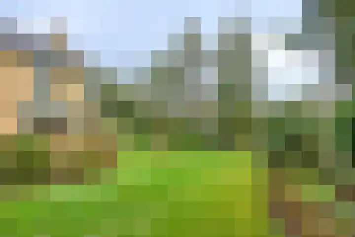 De Wolzaklaan 2 a Eefde thumbnail 57