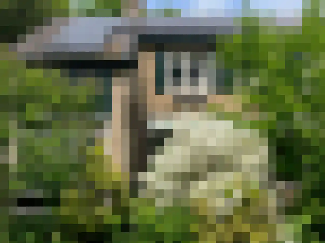 De Wolzaklaan 2 a Eefde thumbnail 58