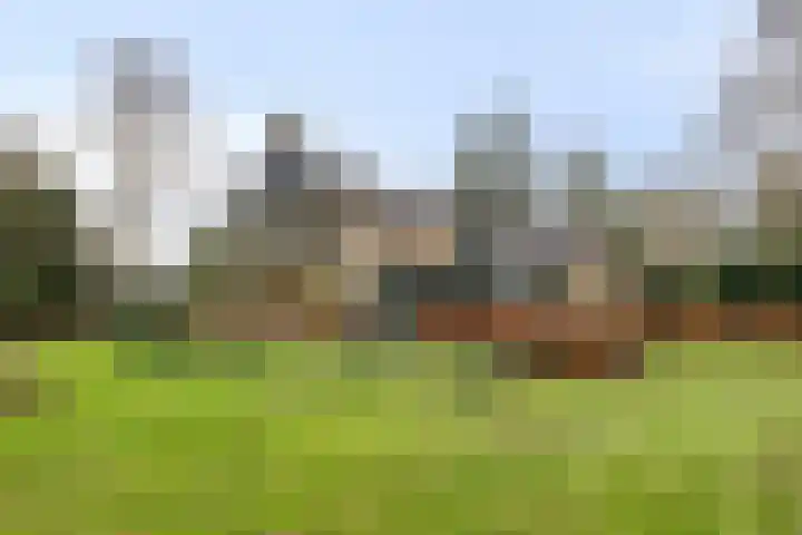 De Wolzaklaan 2 a Eefde thumbnail 59