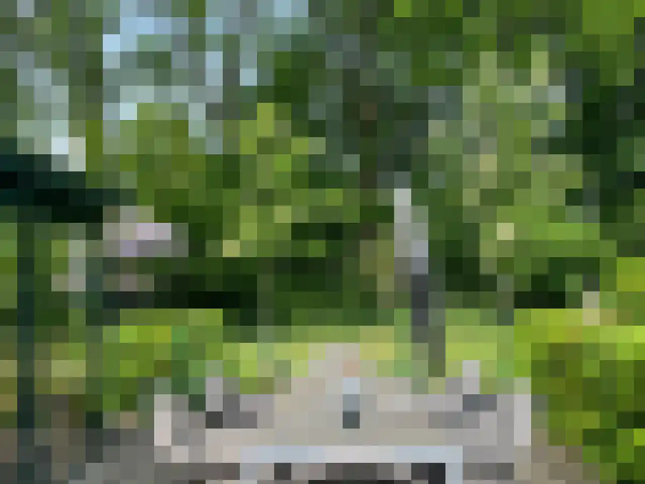 De Wolzaklaan 2 a Eefde thumbnail 6