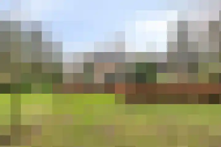 De Wolzaklaan 2 a Eefde thumbnail 61