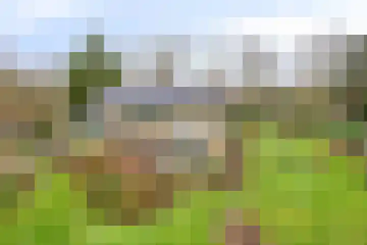 De Wolzaklaan 2 a Eefde thumbnail 62