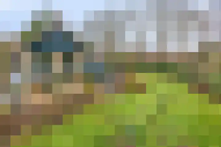 De Wolzaklaan 2 a Eefde thumbnail 63