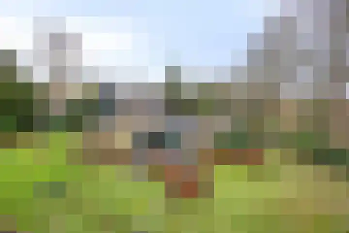 De Wolzaklaan 2 a Eefde thumbnail 64