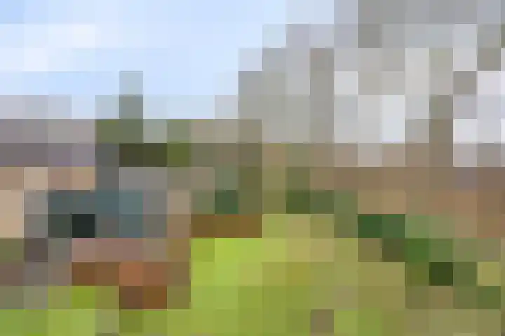 De Wolzaklaan 2 a Eefde thumbnail 65