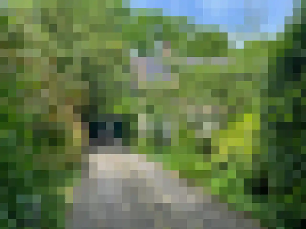 De Wolzaklaan 2 a Eefde thumbnail 66