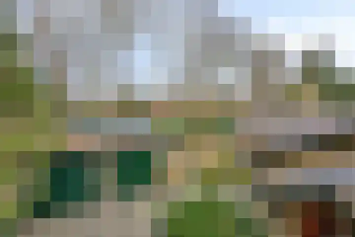 De Wolzaklaan 2 a Eefde thumbnail 66