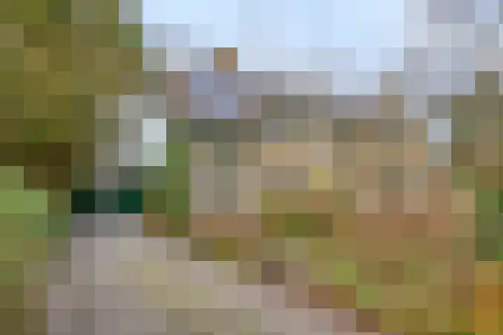 De Wolzaklaan 2 a Eefde thumbnail 67