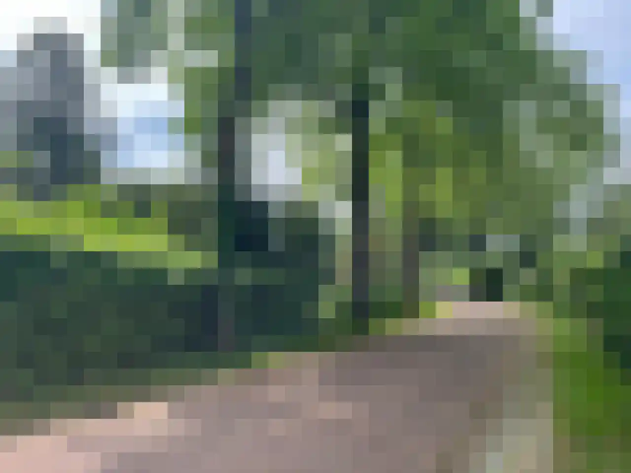 De Wolzaklaan 2 a Eefde thumbnail 67