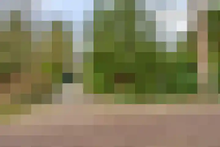De Wolzaklaan 2 a Eefde thumbnail 68