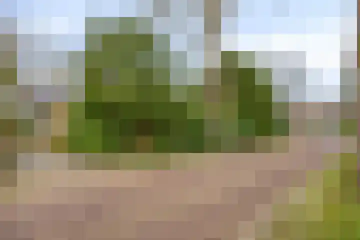 De Wolzaklaan 2 a Eefde thumbnail 69