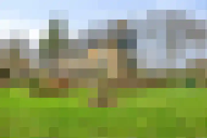 De Wolzaklaan 2 a Eefde thumbnail 7
