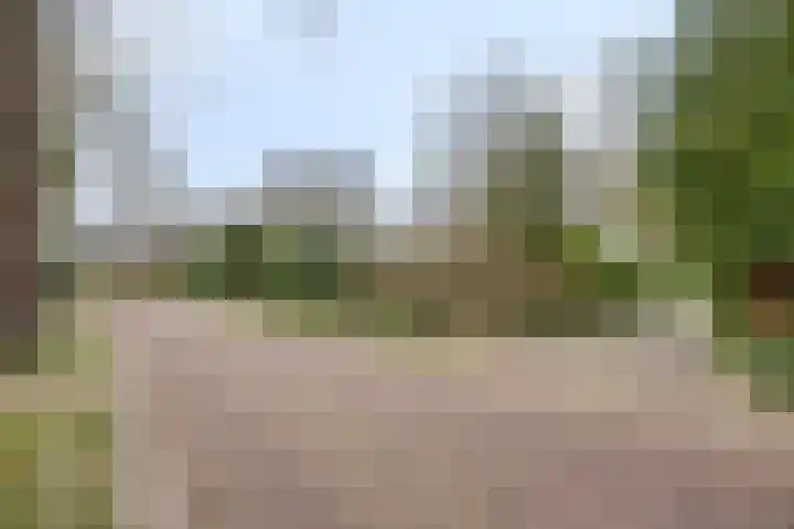 De Wolzaklaan 2 a Eefde thumbnail 70