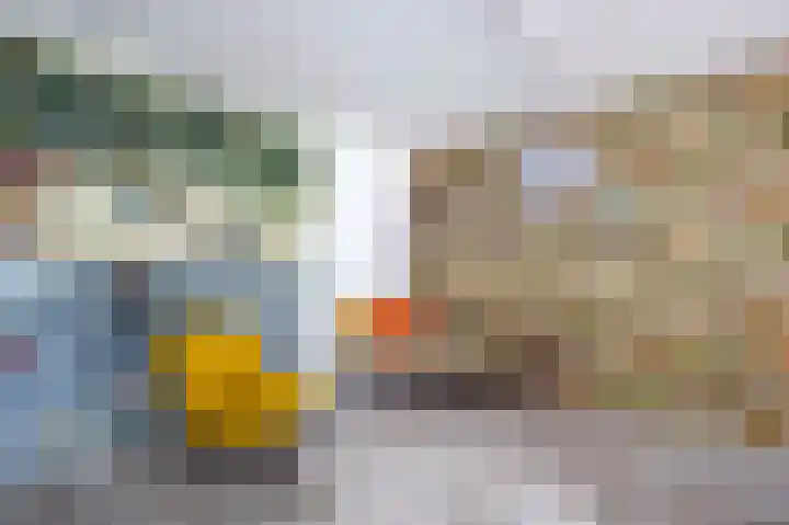 De Wouden 166 Assen thumbnail 14