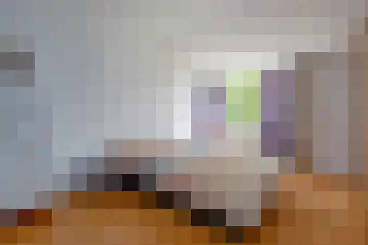 De Wouden 166 Assen thumbnail 23