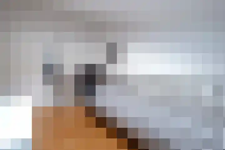 De Wouden 166 Assen thumbnail 31
