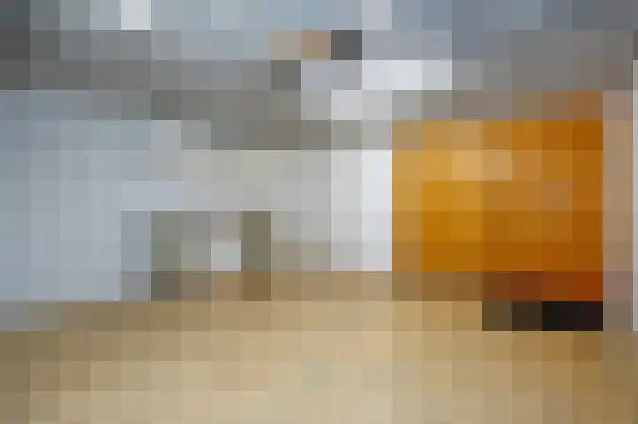 De Wouden 166 Assen thumbnail 33