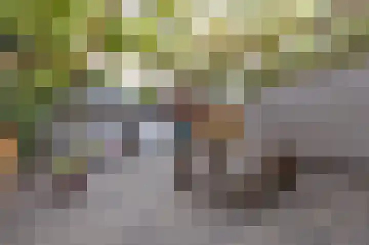 De Wouden 166 Assen thumbnail 36