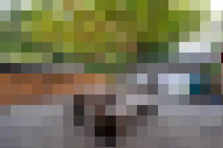 De Wouden 166 Assen thumbnail 37