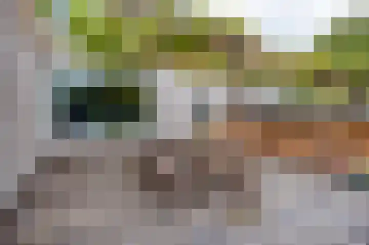 De Wouden 166 Assen thumbnail 38
