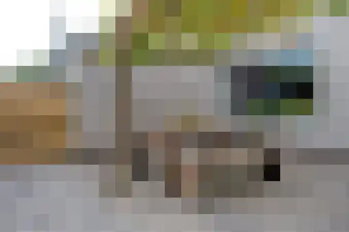 De Wouden 166 Assen thumbnail 39